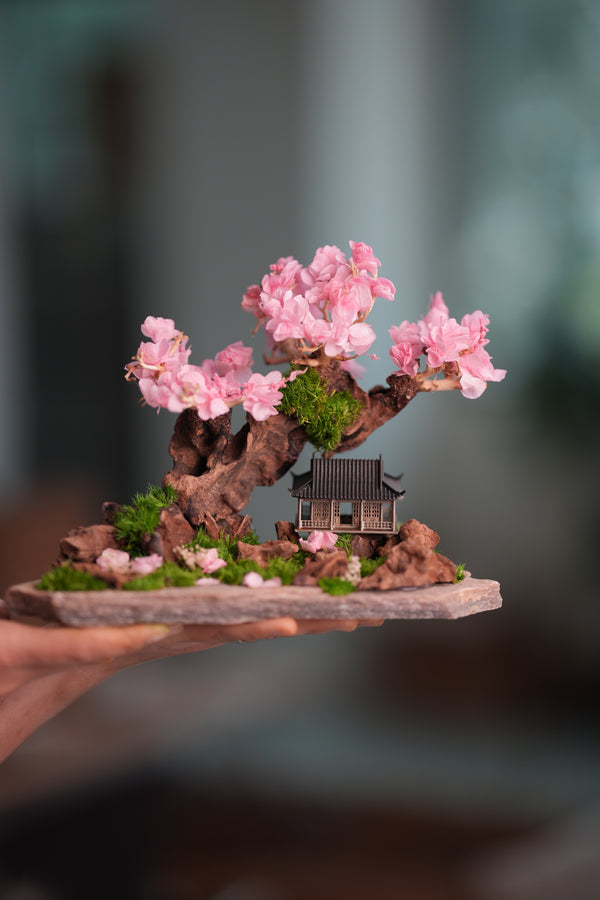 Blackwood Cliff - A Path in the East - Sakura of Spring (Preserved Plants)