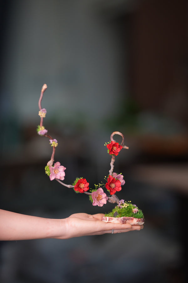 Children of the Forest - Tender Water (Preserved Plants)