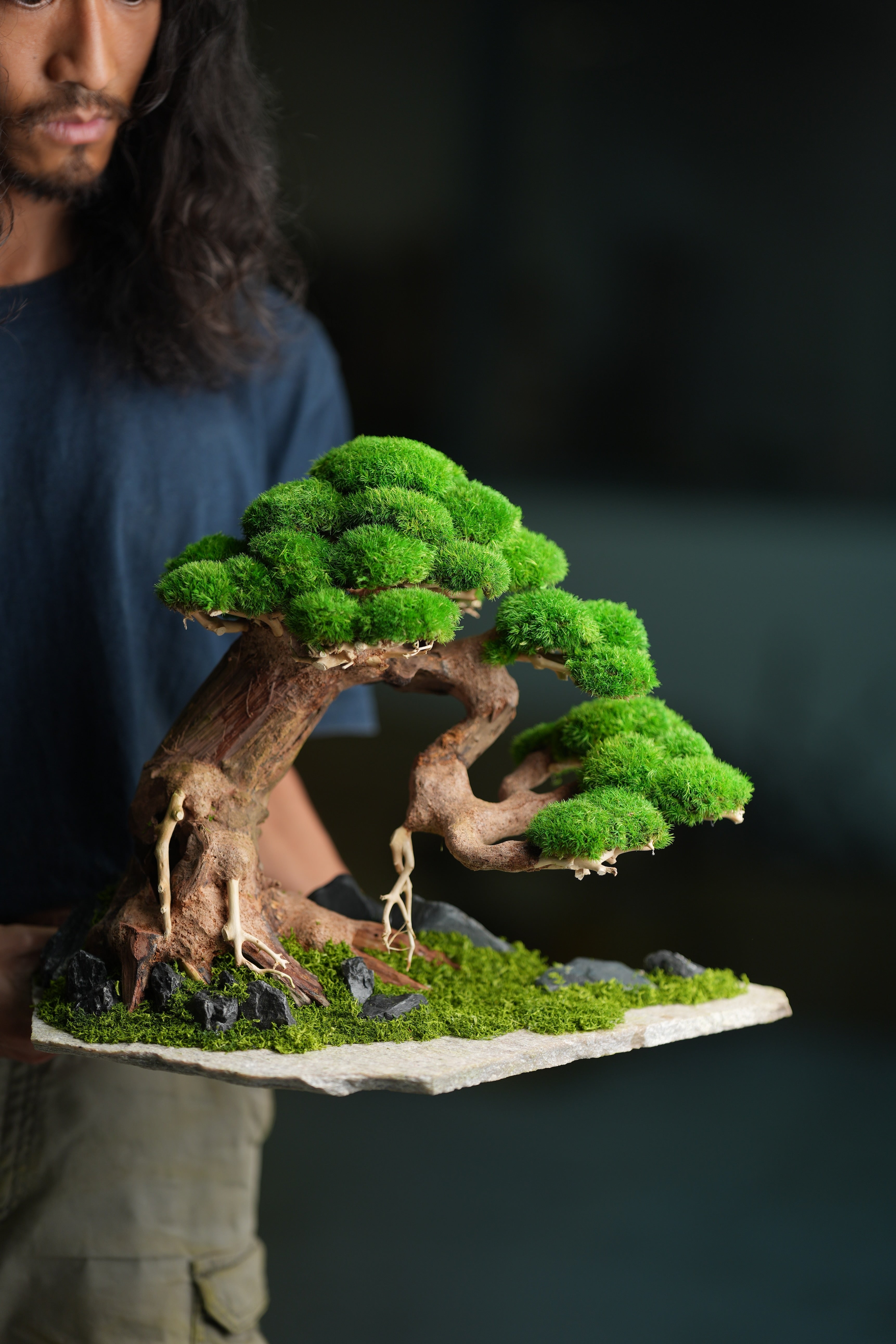 Old Guard (Preserved Plants)