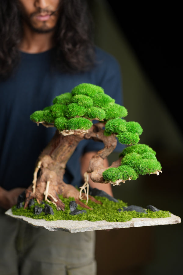 Old Guard (Preserved Plants)