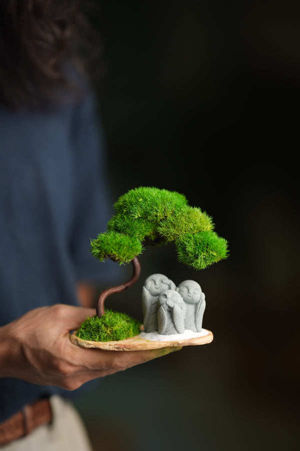 A Small Tree in the East - Classic - Trio of No Evil (Preserved Plants)
