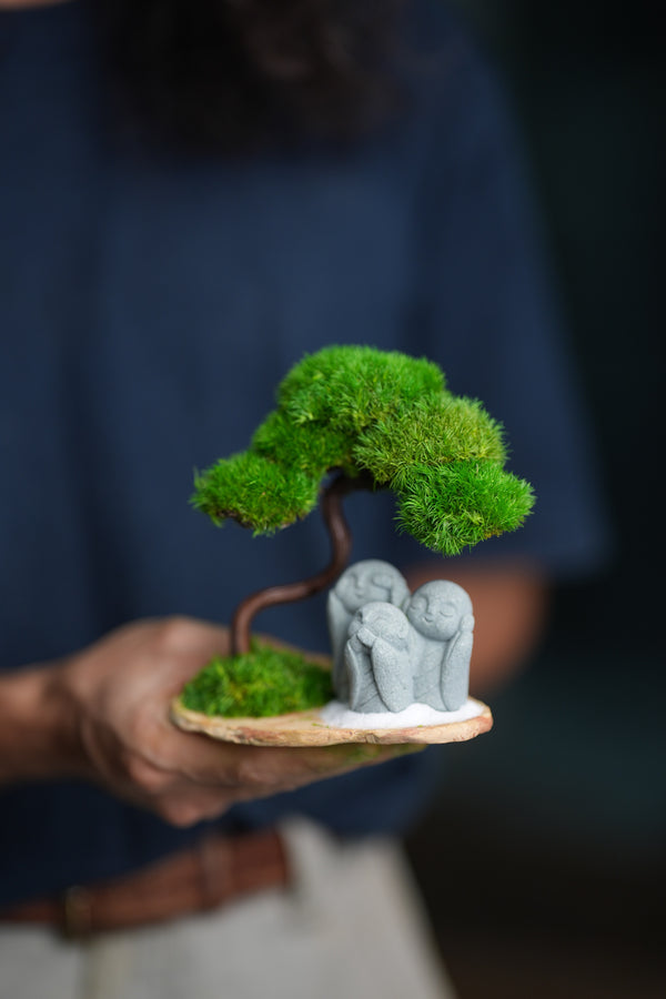 A Small Tree in the East - Classic - Trio of No Evil (Preserved Plants)