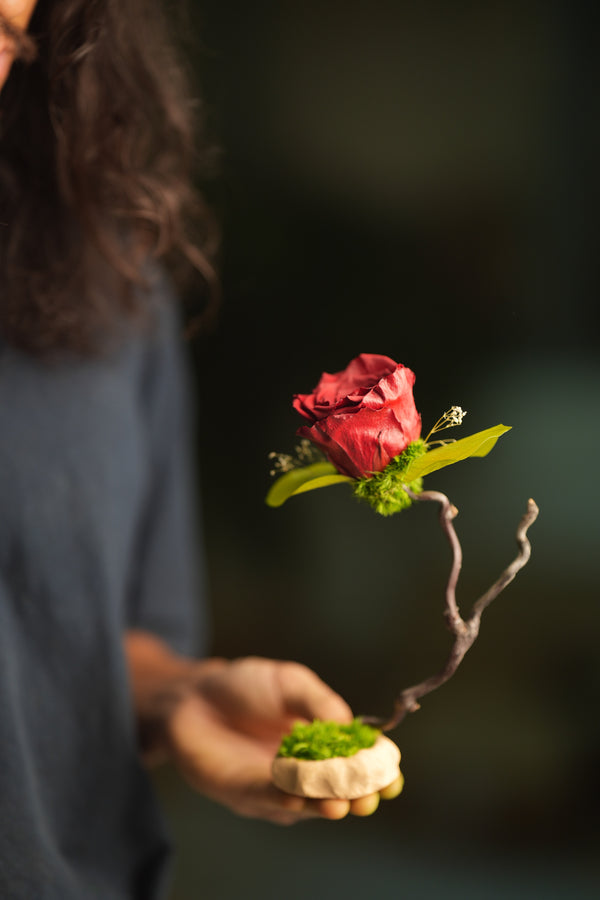 Children of the Forest - Jupiter (Preserved Plants)