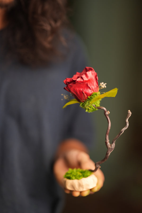 Children of the Forest - Jupiter (Preserved Plants)