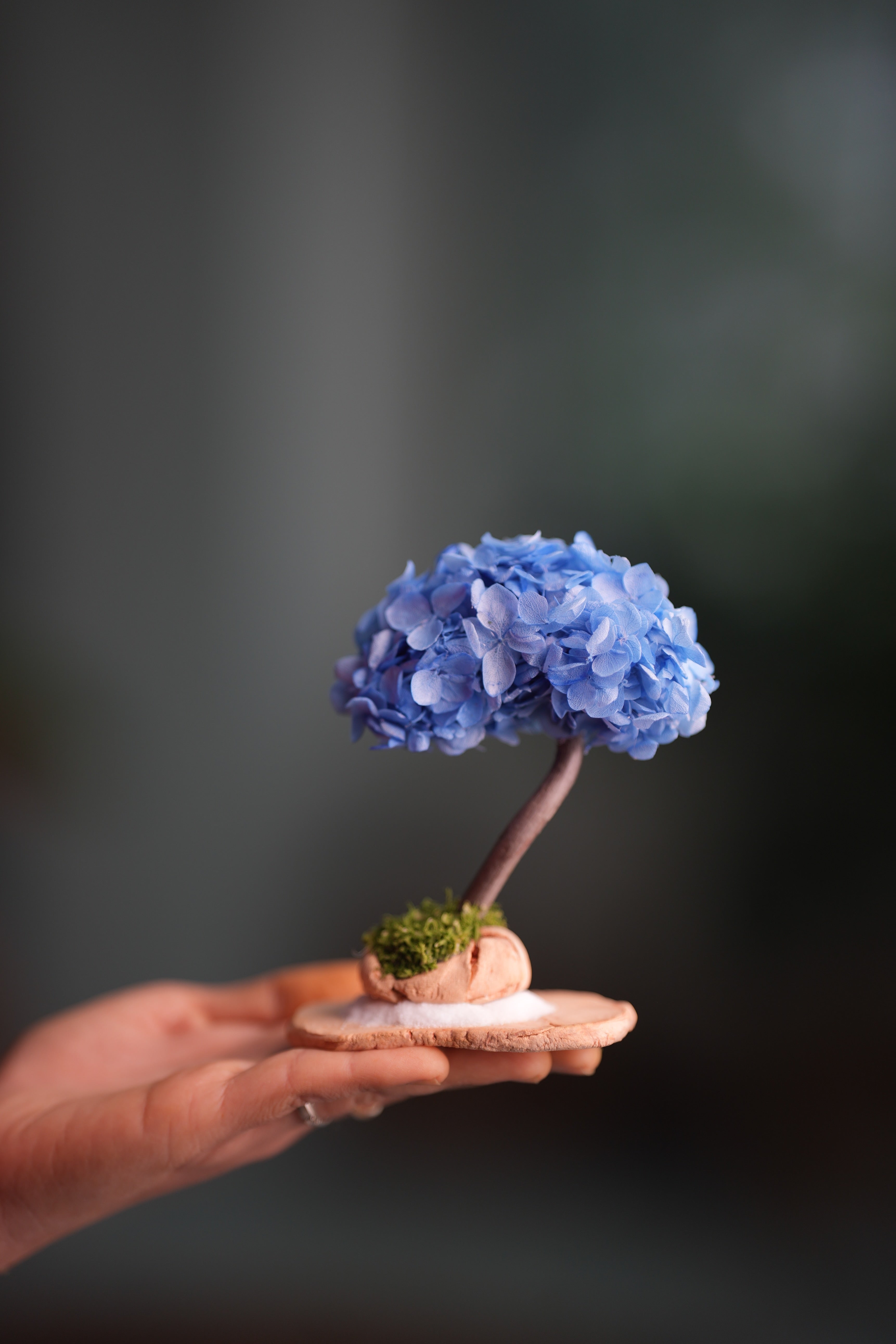 A Small Tree in the East - Purple Dream (Preserved Plants)