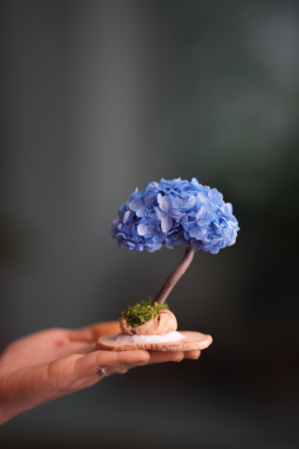 A Small Tree in the East - Purple Dream (Preserved Plants)