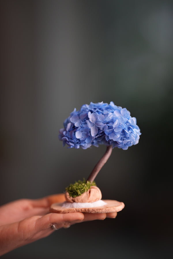 A Small Tree in the East - Purple Dream (Preserved Plants)