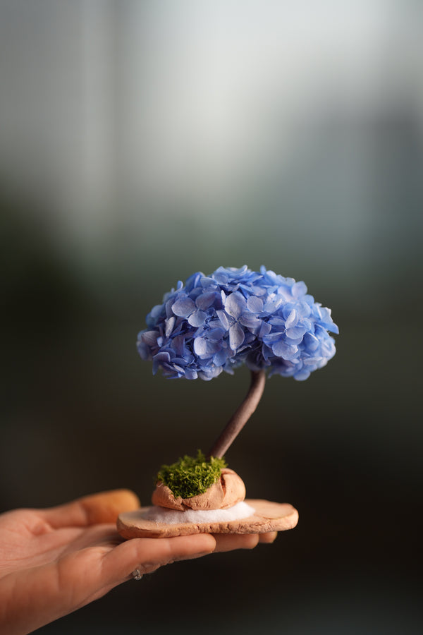 A Small Tree in the East - Purple Dream (Preserved Plants)