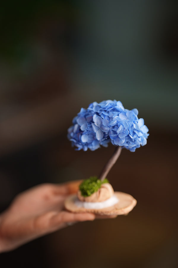 A Small Tree in the East - Purple Dream (Preserved Plants)