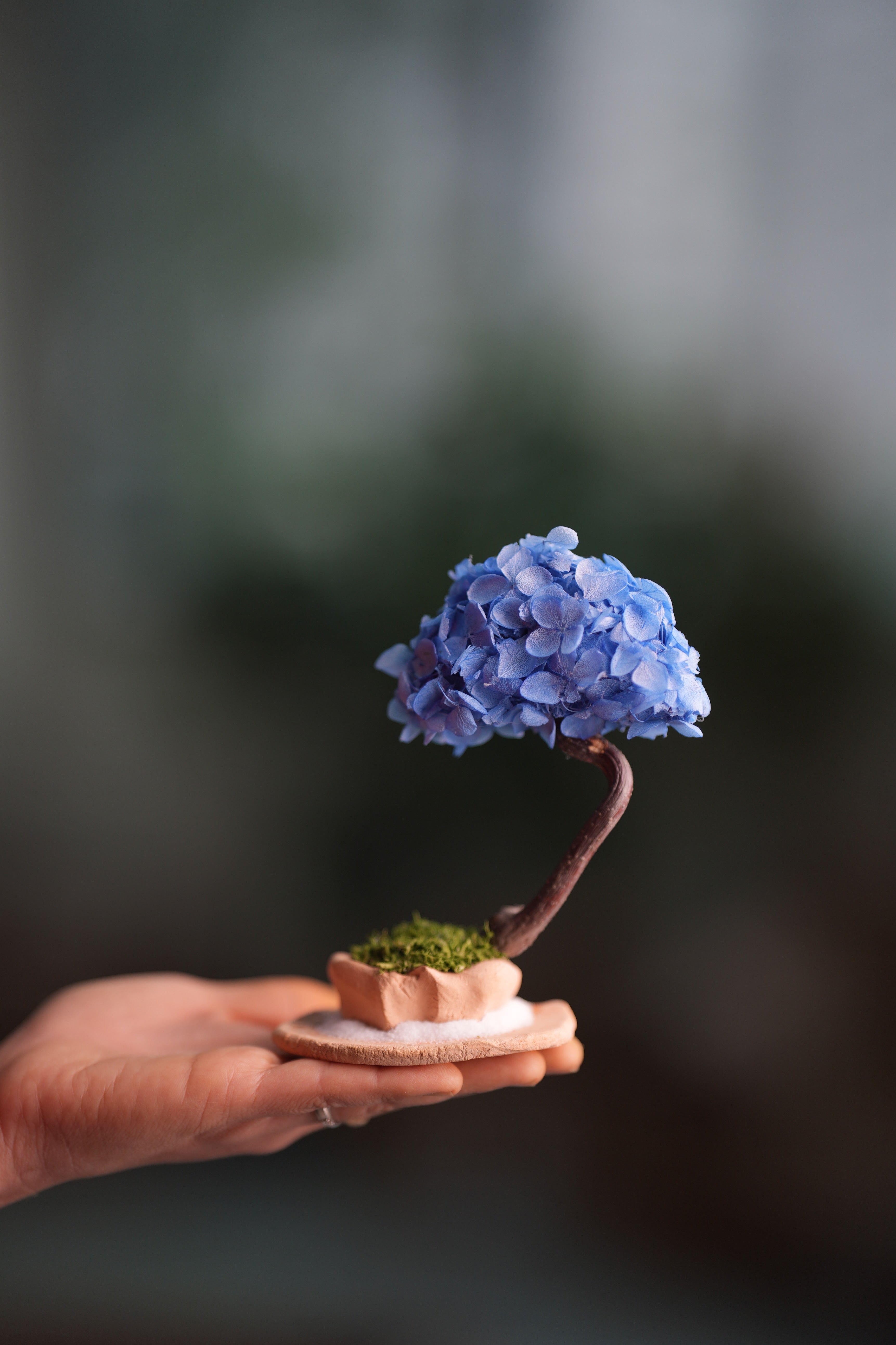 A Small Tree in the East - Purple Dream (Preserved Plants)