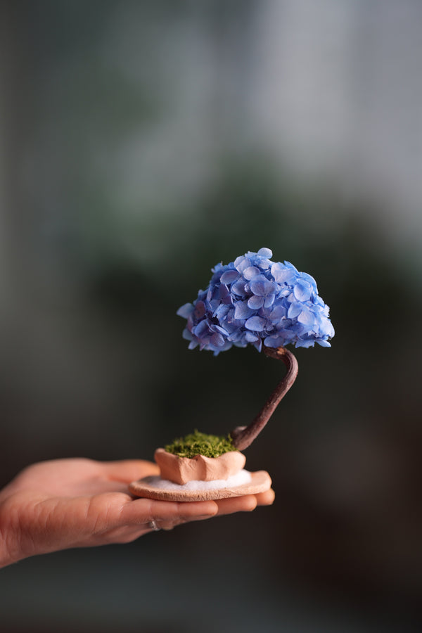 A Small Tree in the East - Purple Dream (Preserved Plants)