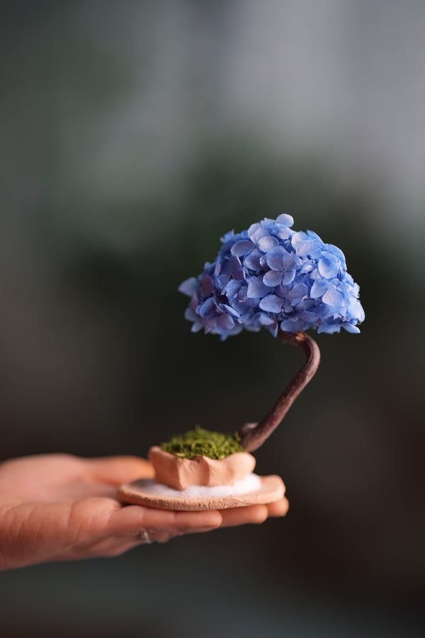 A Small Tree in the East - Purple Dream (Preserved Plants)