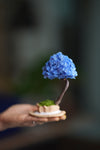 A Small Tree in the East - Purple Dream (Preserved Plants)