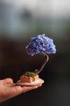 A Small Tree in the East - Purple Dream (Preserved Plants)