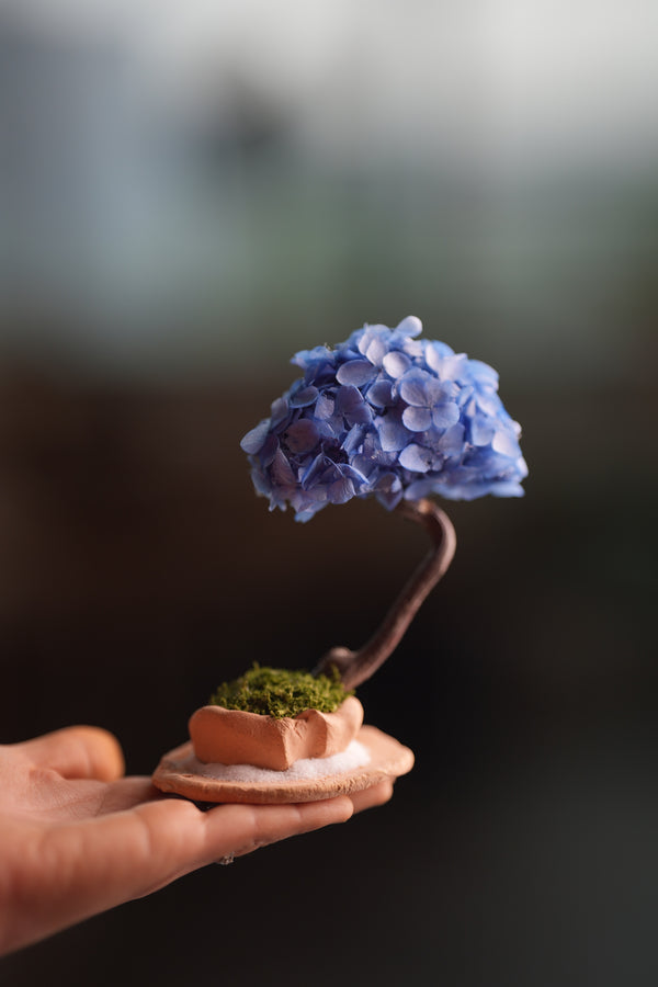 A Small Tree in the East - Purple Dream (Preserved Plants)
