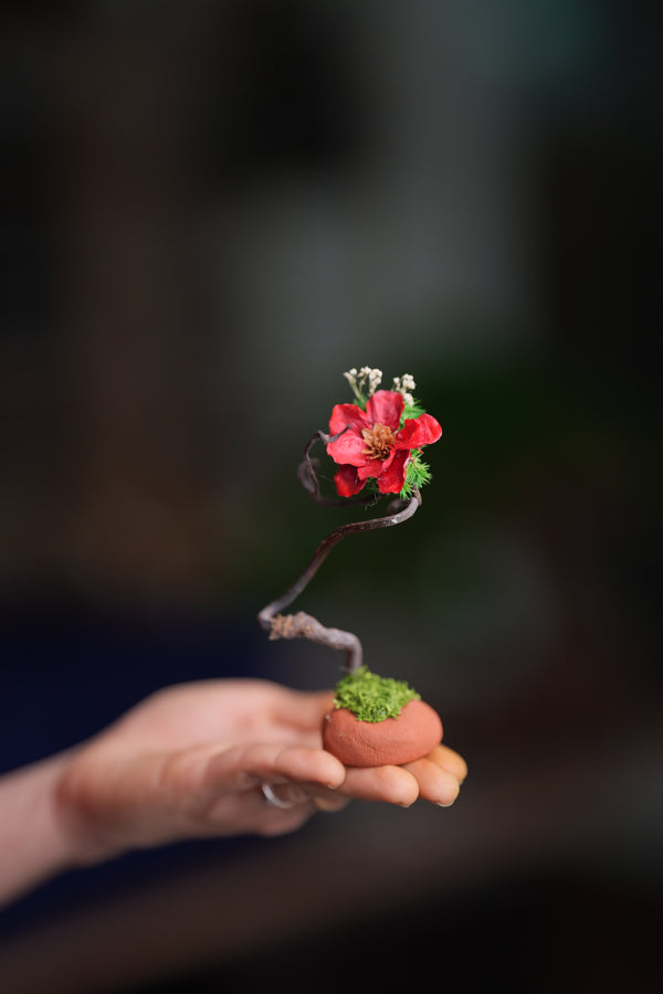 Children of the Forest - Kindling (Preserved Plants)