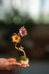 Children of the Forest - Kindling (Preserved Plants)