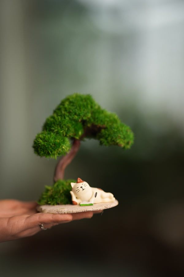 A Small Tree in the East - Morning in the Park (Preserved Plants)