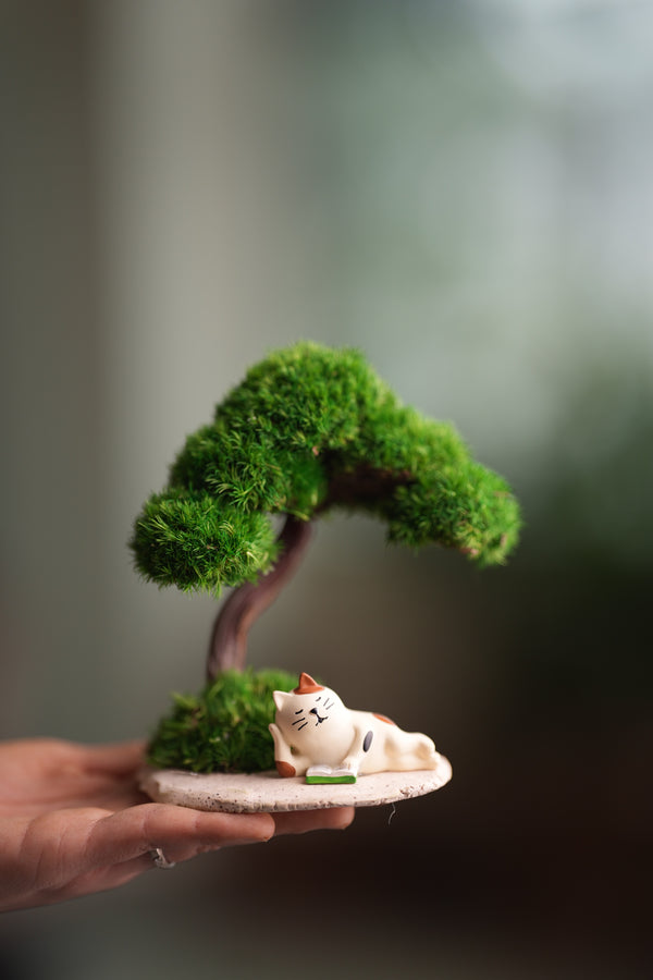 A Small Tree in the East - Morning in the Park (Preserved Plants)