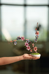 Children of the Forest - Vibrant (Preserved Plants)