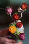 Children of the Forest - Sunny (Preserved Plants)