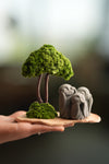 A Small Tree in the East - Classic - Trio of No Evil (Preserved Plants)