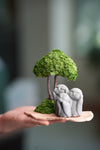 A Small Tree in the East - Classic - Trio of No Evil (Preserved Plants)