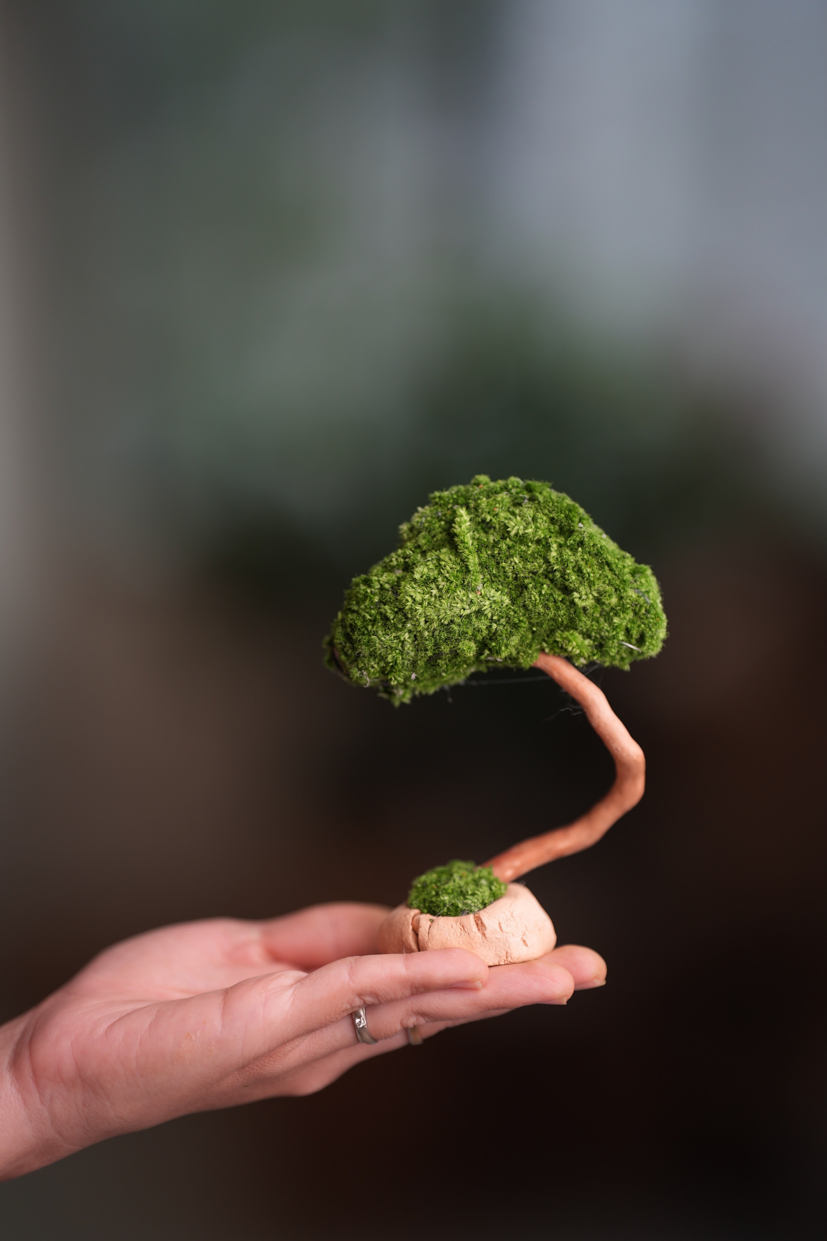 A Small Tree in the East - Classic (Preserved Plants)