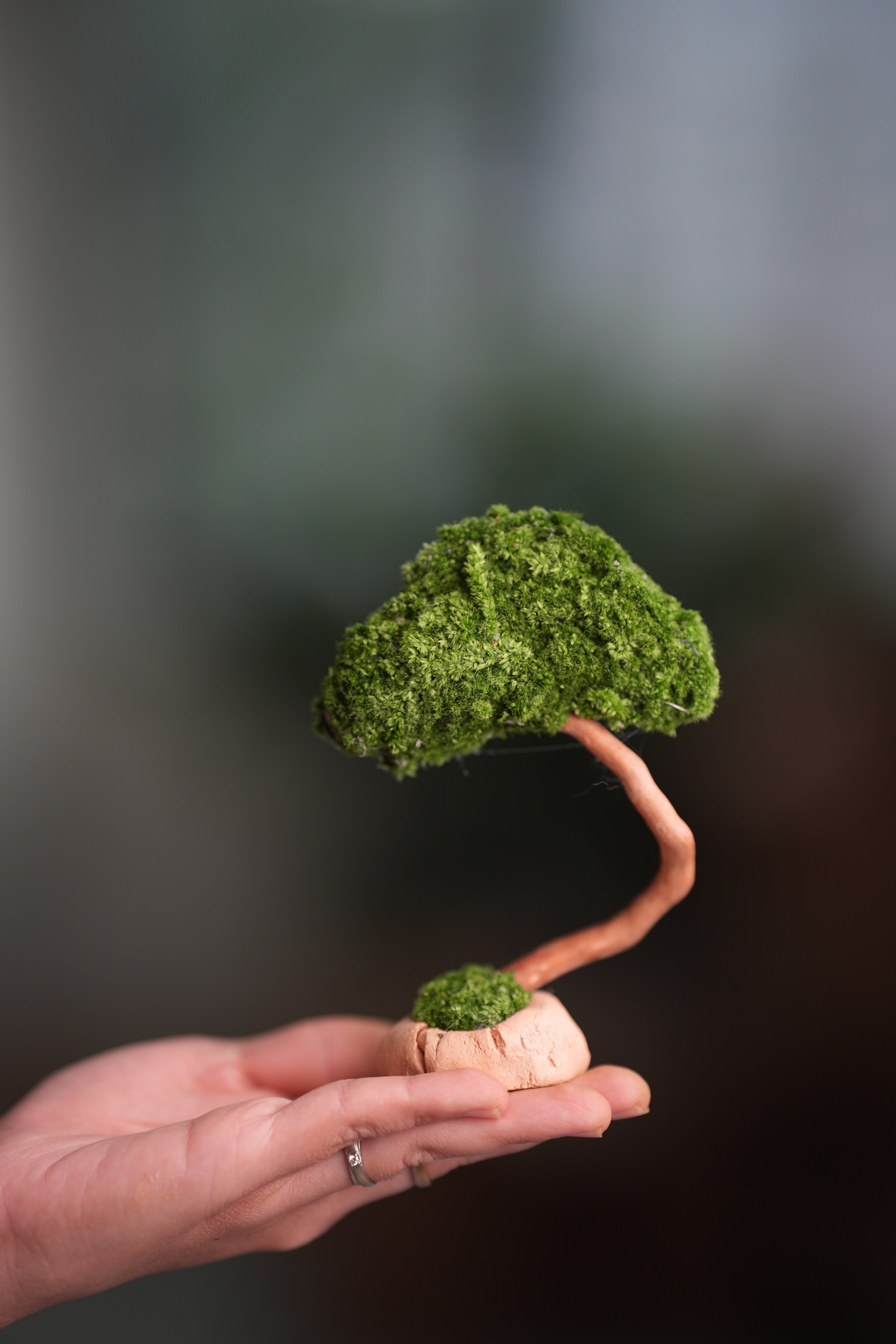 A Small Tree in the East - Classic (Preserved Plants)
