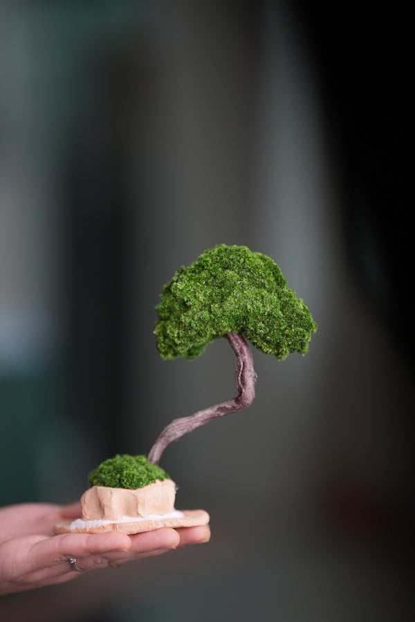 A Small Tree in the East - Classic (Preserved Plants)