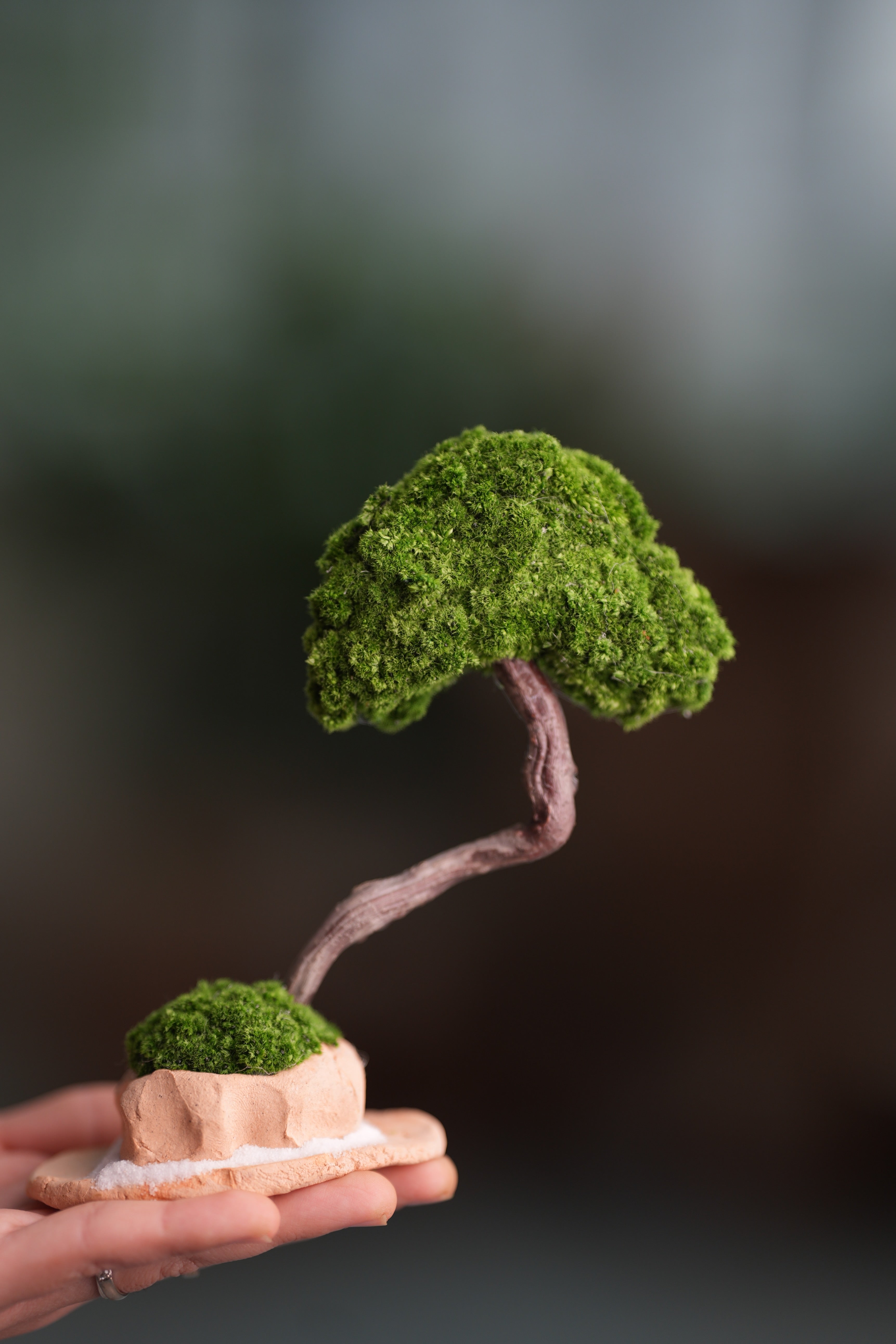 A Small Tree in the East - Classic (Preserved Plants)
