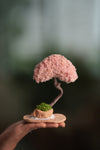 A Small Tree in the East - Classic - Teen (Preserved Plants)