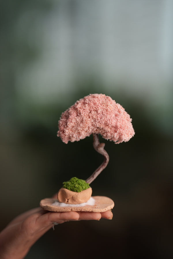 A Small Tree in the East - Classic - Teen (Preserved Plants)