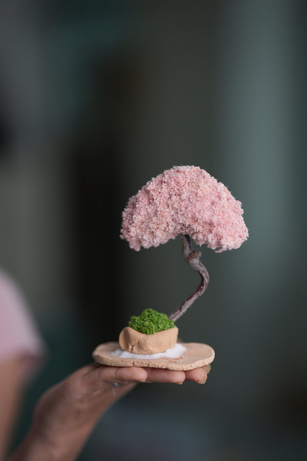 A Small Tree in the East - Classic - Teen (Preserved Plants)
