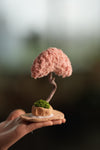 A Small Tree in the East - Classic - Teen (Preserved Plants)