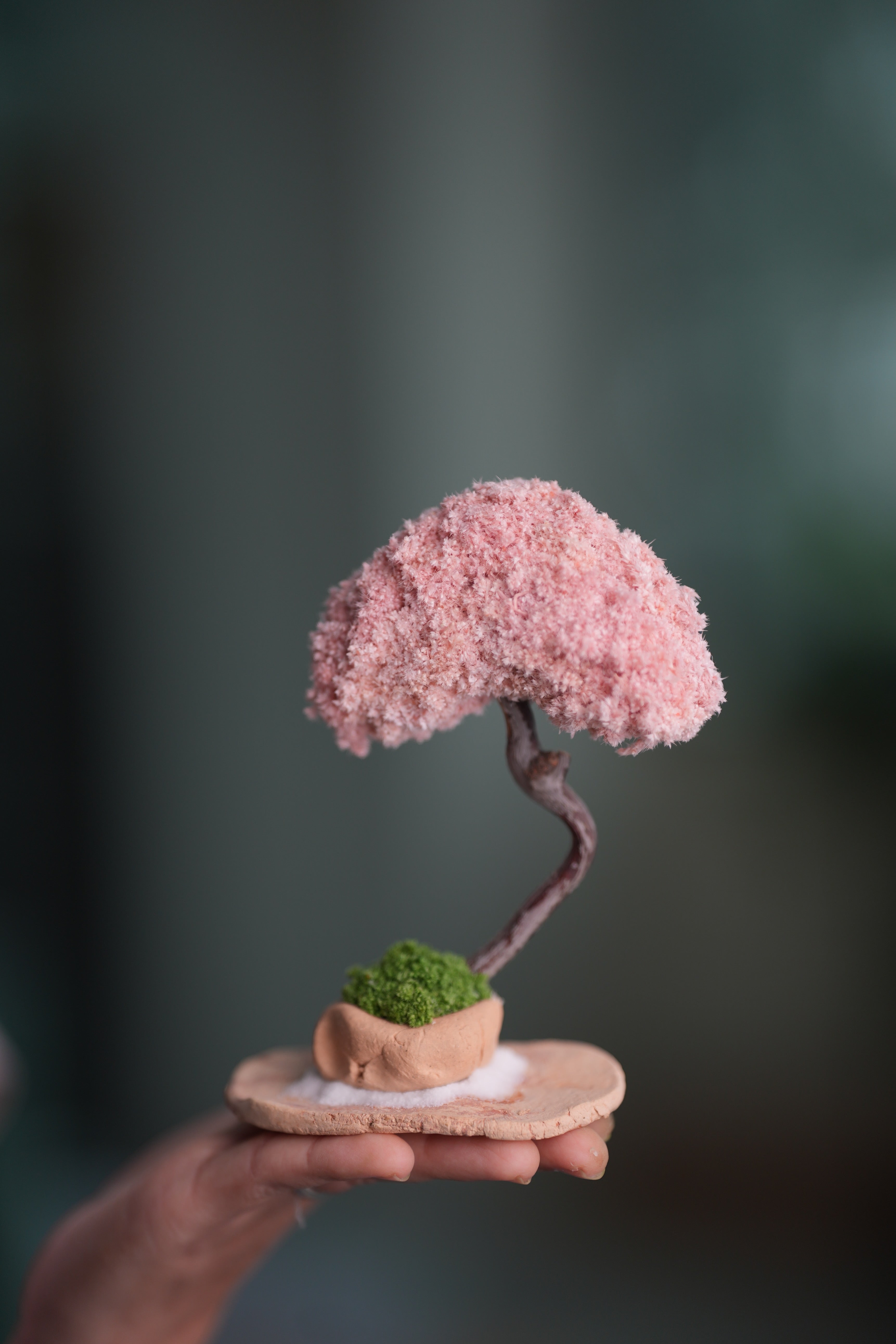 A Small Tree in the East - Classic - Teen (Preserved Plants)