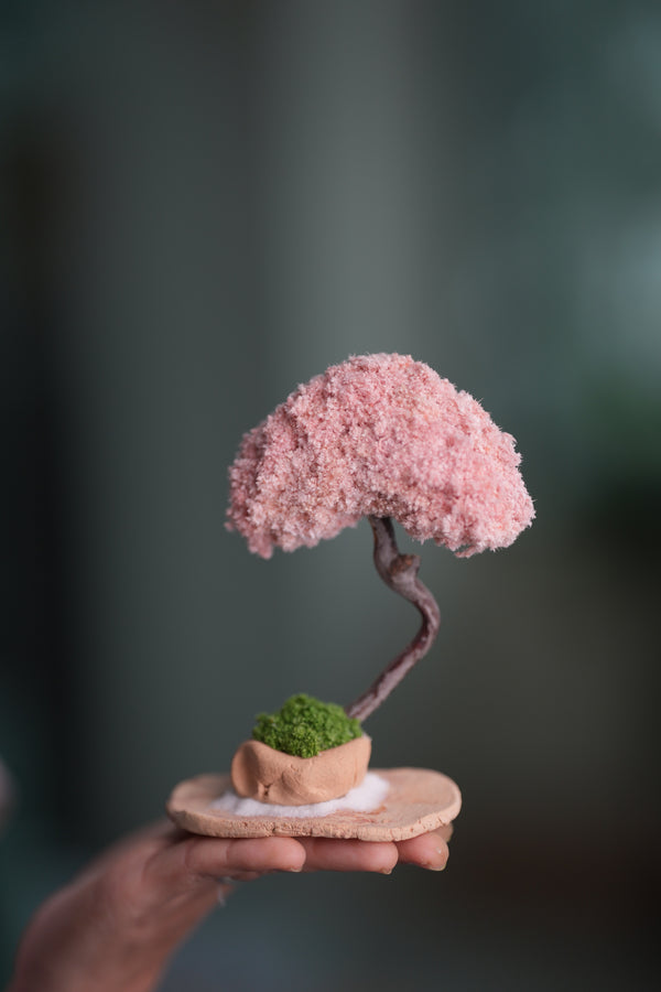 A Small Tree in the East - Classic - Teen (Preserved Plants)