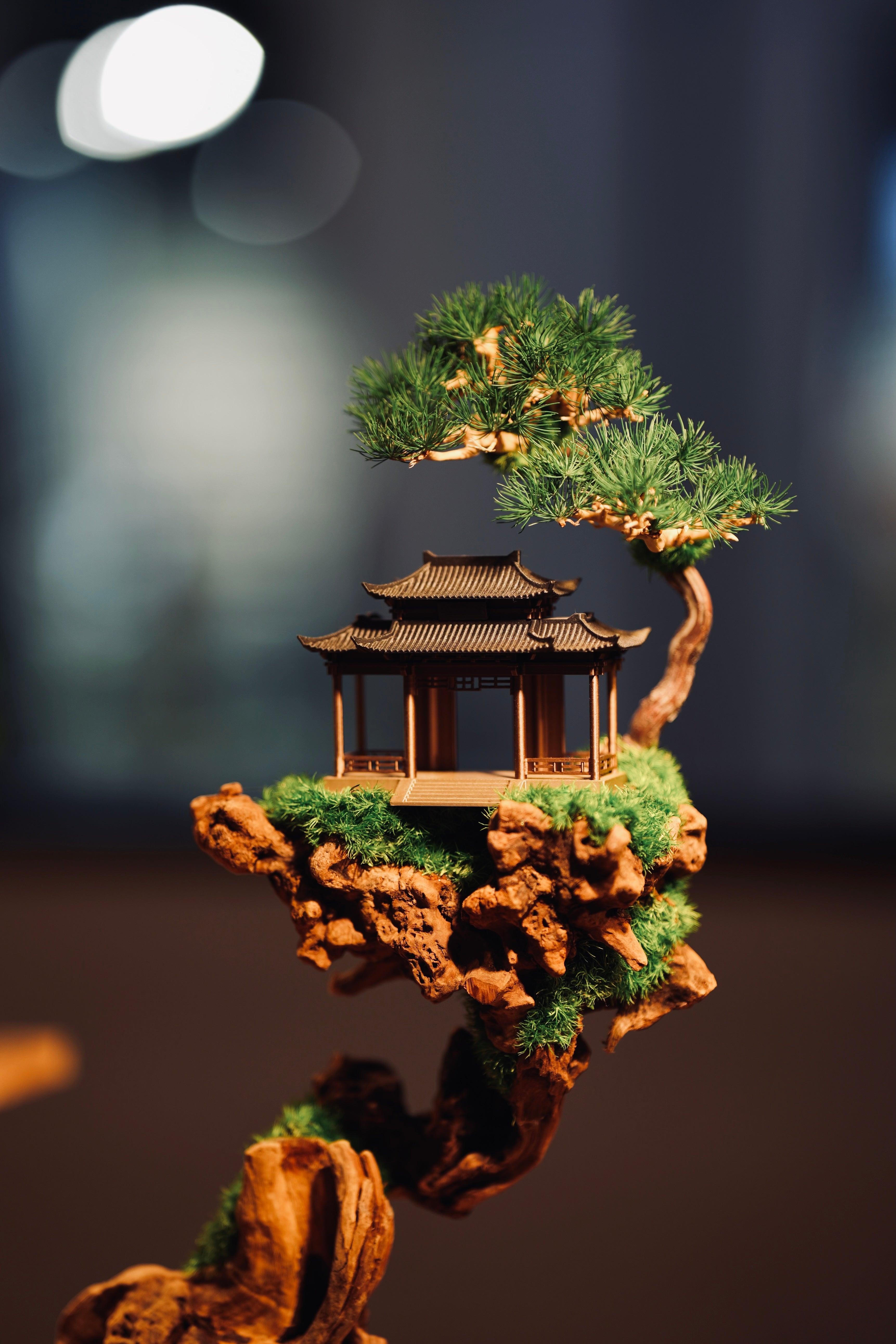 Blackwood Cliff (Preserved Plants)