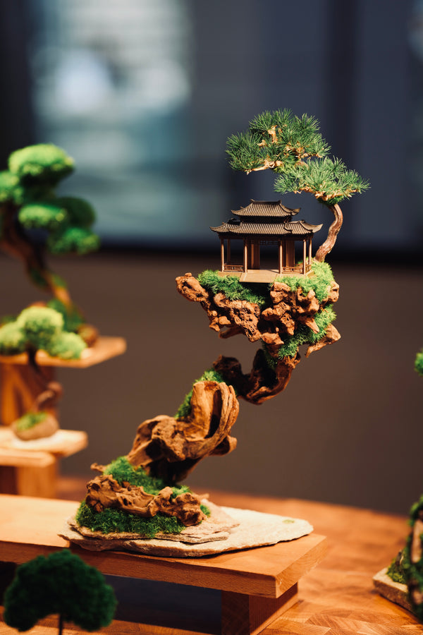 Blackwood Cliff (Preserved Plants)