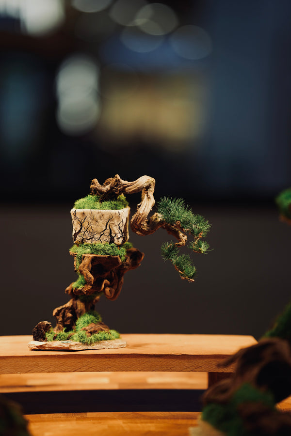 Summer's Whisper (Preserved Plants)