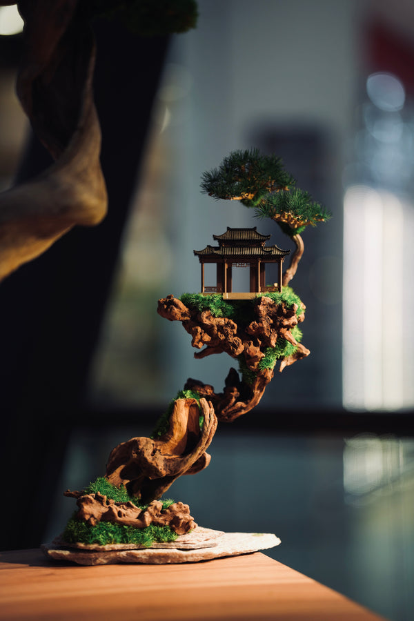 Blackwood Cliff (Preserved Plants)