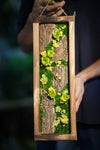 Children of the Forest - Wall Hanging edition - Mini Rose (Preserved Plants)