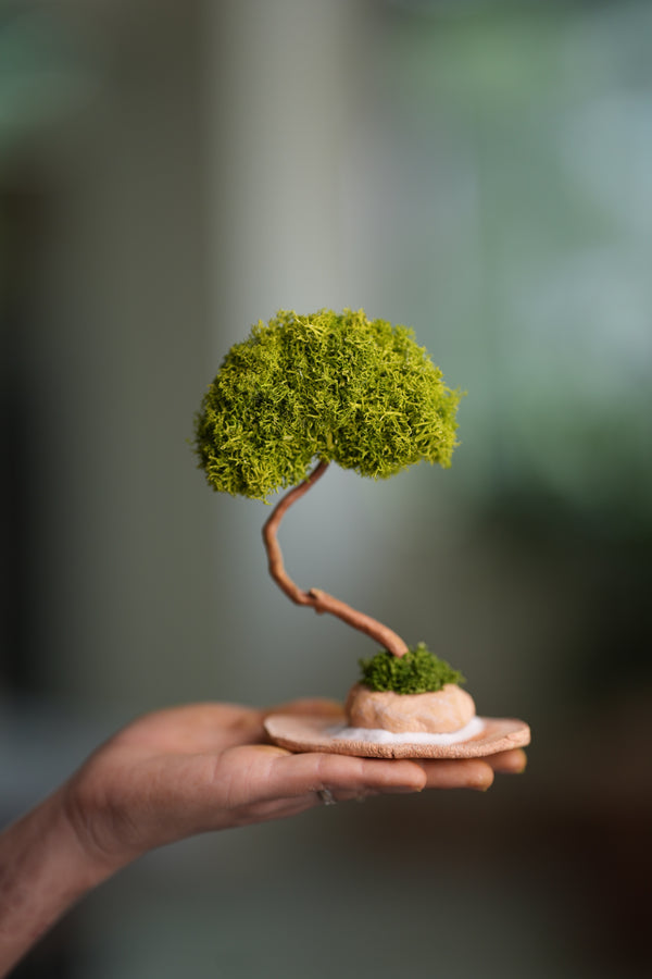 A Small Tree in the East - Classics - Reindeer (Preserved Plants)