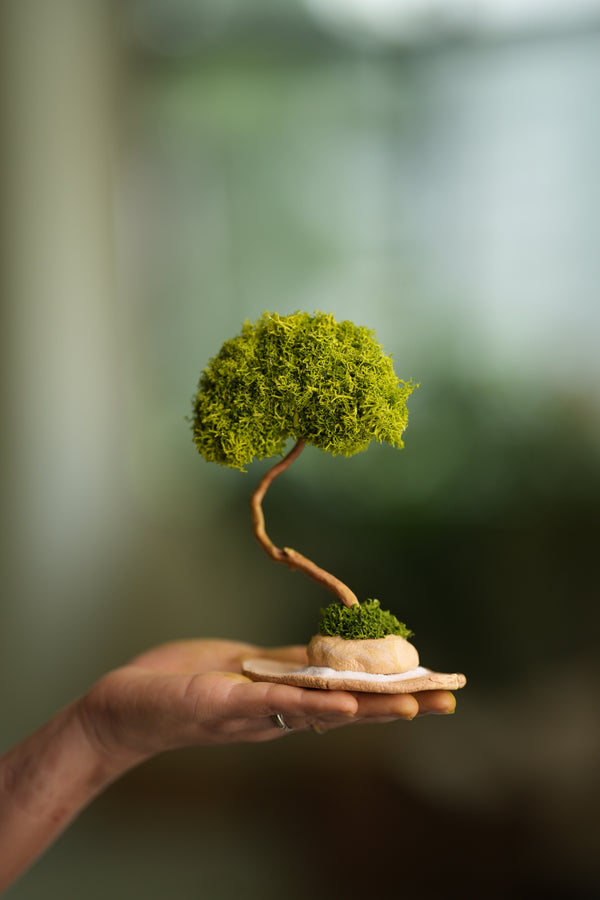 A Small Tree in the East - Classics - Reindeer (Preserved Plants)