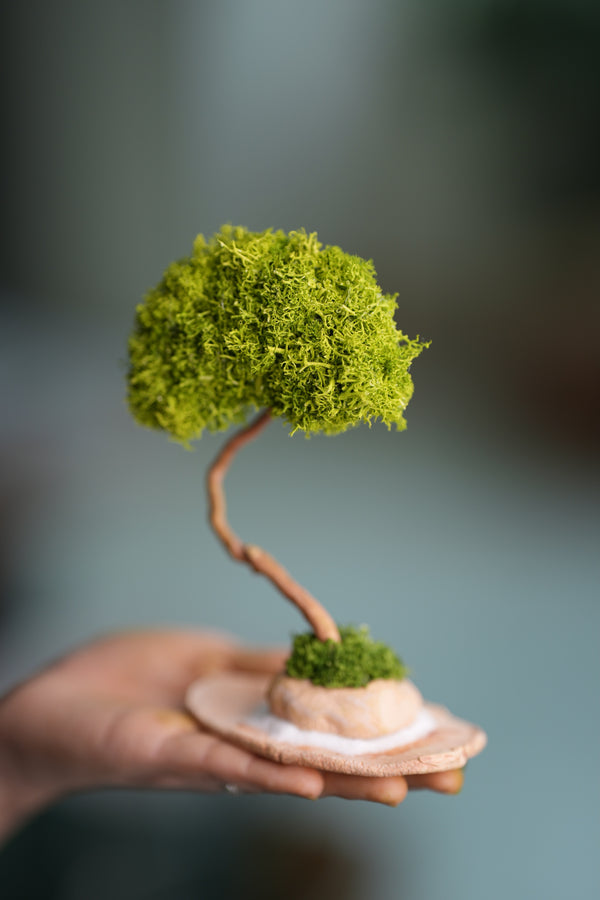 A Small Tree in the East - Classics - Reindeer (Preserved Plants)