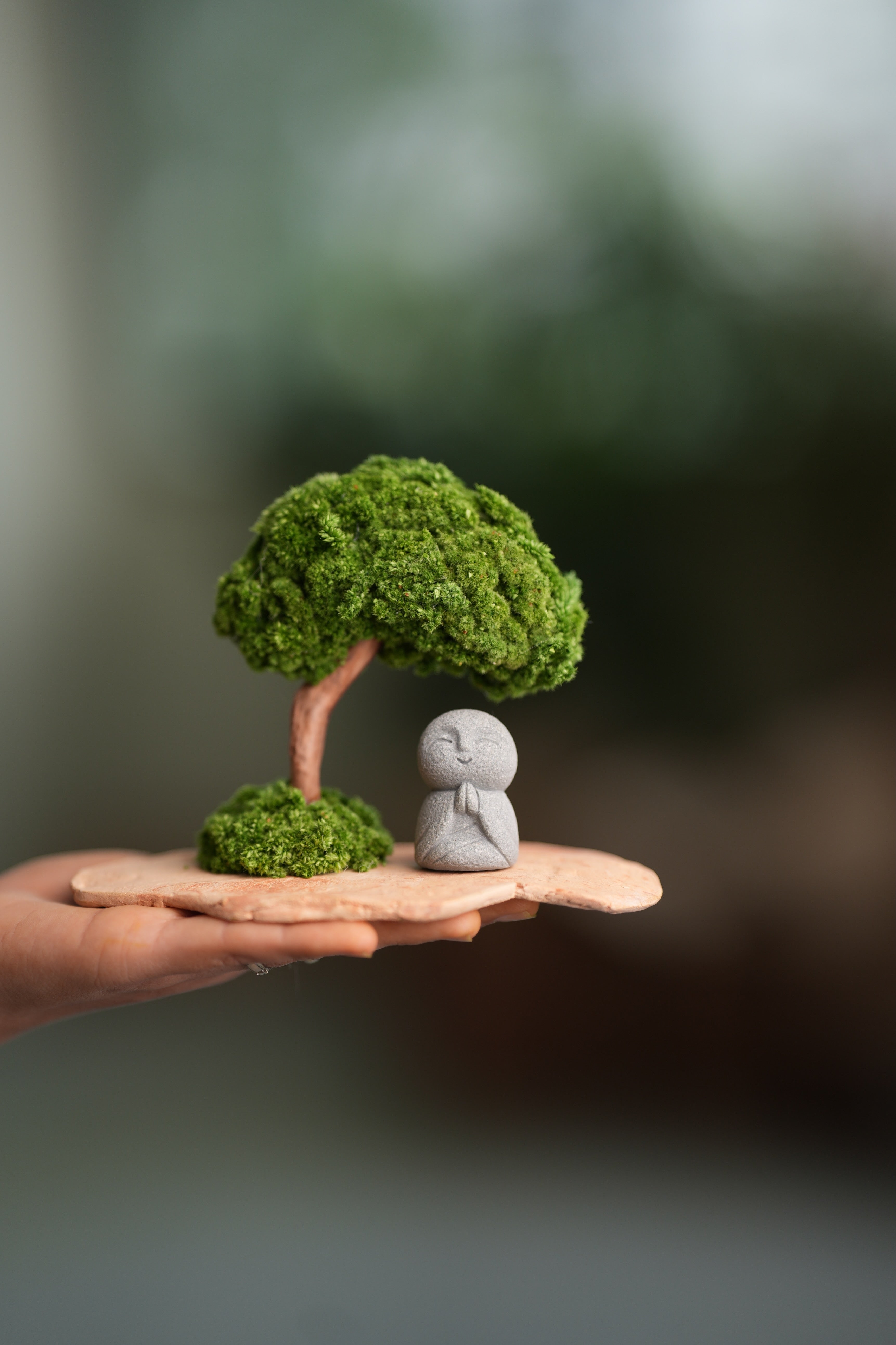 A Small Tree in the East - Classic - Journeyman (Preserved Plants)