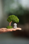 A Small Tree in the East - Classic - Journeyman (Preserved Plants)