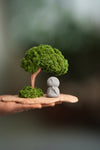 A Small Tree in the East - Classic - Journeyman (Preserved Plants)