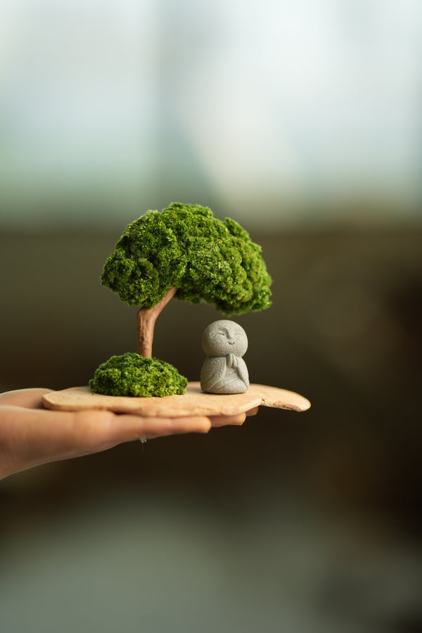 A Small Tree in the East - Classic - Journeyman (Preserved Plants)