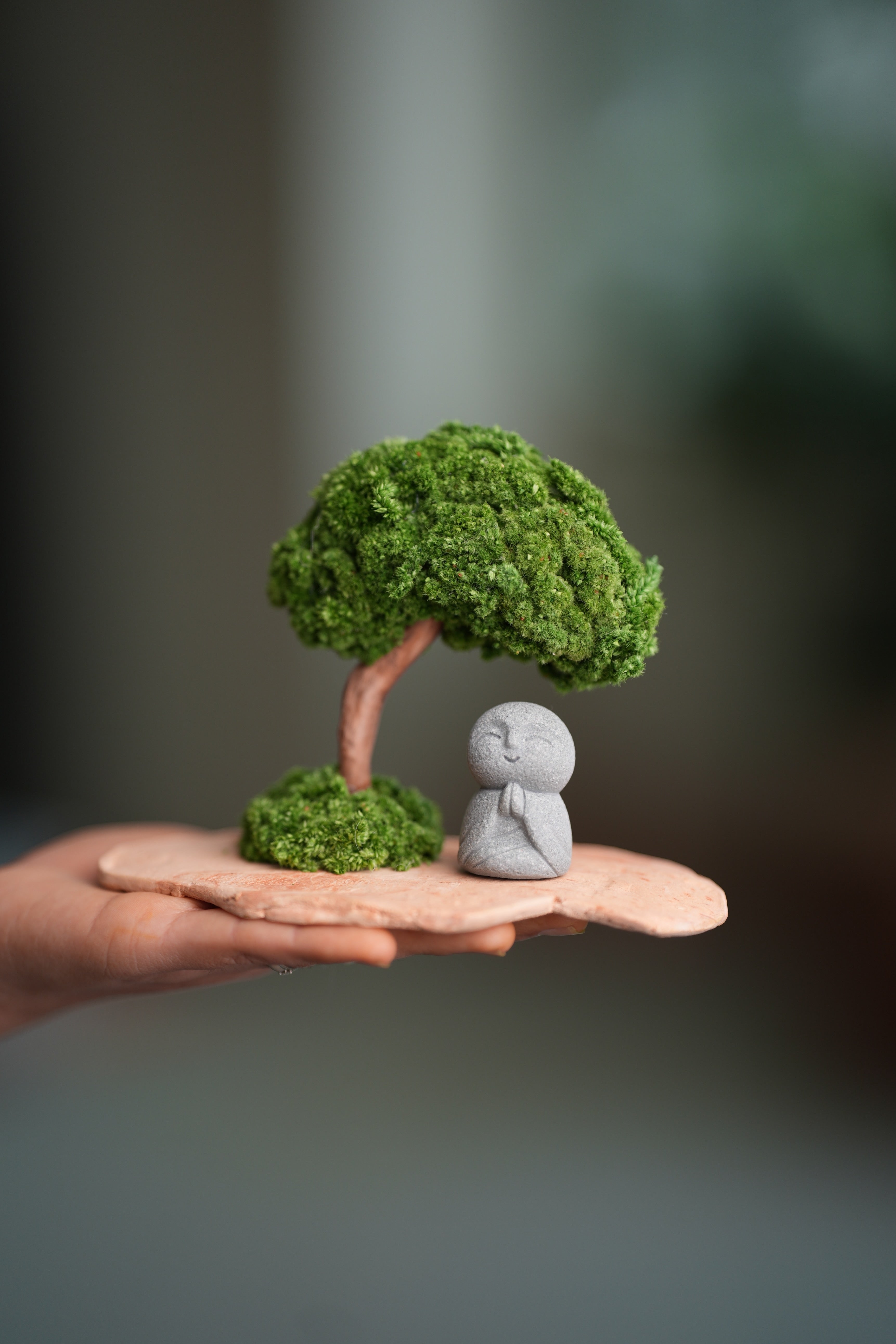 A Small Tree in the East - Classic - Journeyman (Preserved Plants)